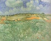 Vincent Van Gogh Plain near Auvers (nn04) oil on canvas